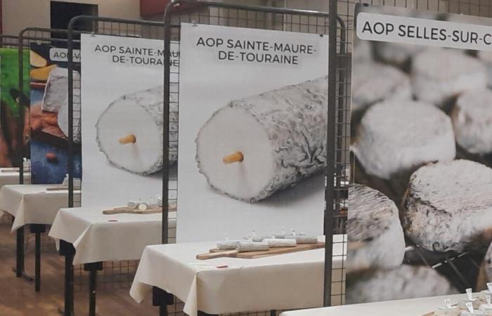 Concorso regionale dei formaggi: l'Indre-et-Loire si distingue