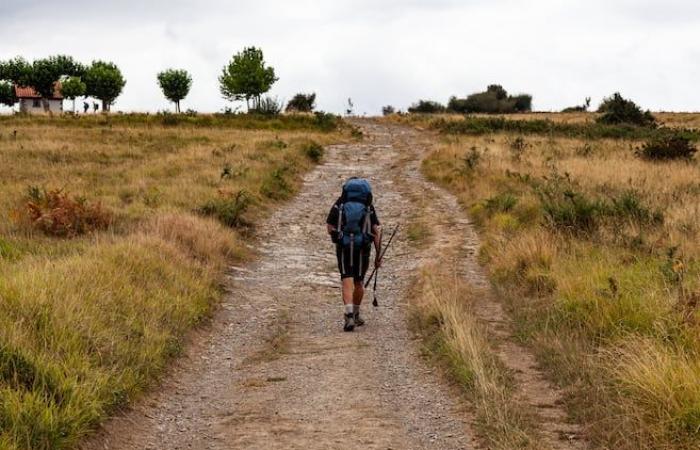 L’Università Saint Paul prende la strada per Compostela