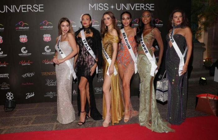 Tutto quello che devi sapere sulle elezioni di Miss Universo 2024