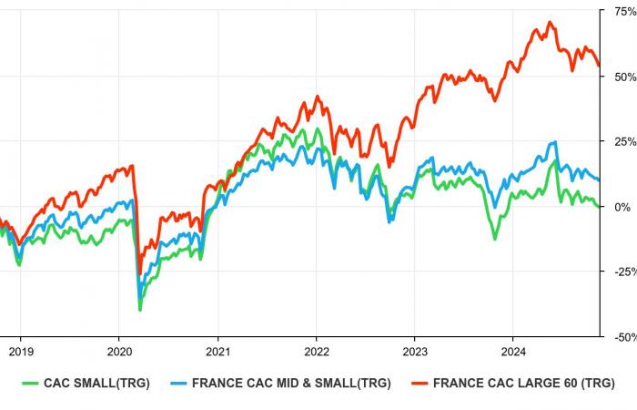 Small Caps – Le ultime scelte delle star del management