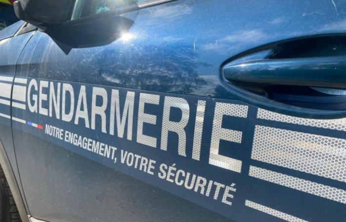 La discussione nel camper degenera a Lot-et-Garonne, una donna alcolizzata picchia il suo compagno