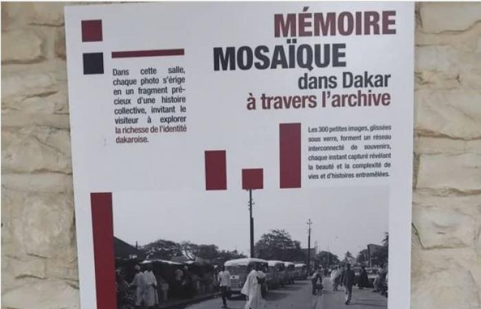 Dakar in rovina – un’immersione nella storia vivente a Dak’art 2024: un patrimonio da preservare per le generazioni future