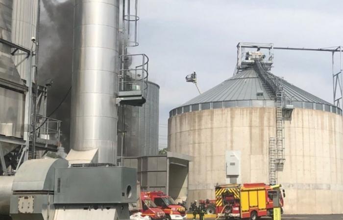 più di 90 vigili del fuoco si sono mobilitati per un incendio in un silo pieno di cereali