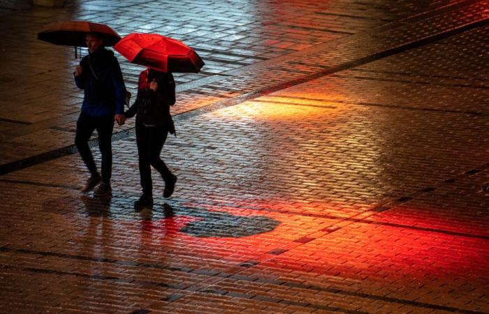 Suggerimenti culturali | Grandi idee per un bagno culturale di successo