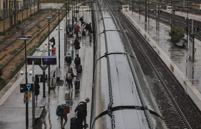 Sciopero dei trasporti: a Natale ci saranno treni e aerei?