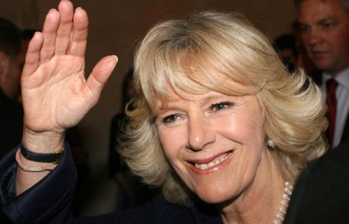 Camilla Parker Bowles, una “troia”?