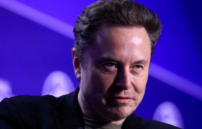 Elon Musk cerca future reclute per il dipartimento “efficienza del governo”.