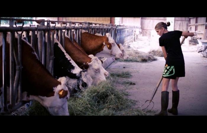 Un film coronato da un César, presentato al festival del cortometraggio di questa località della Sarthe