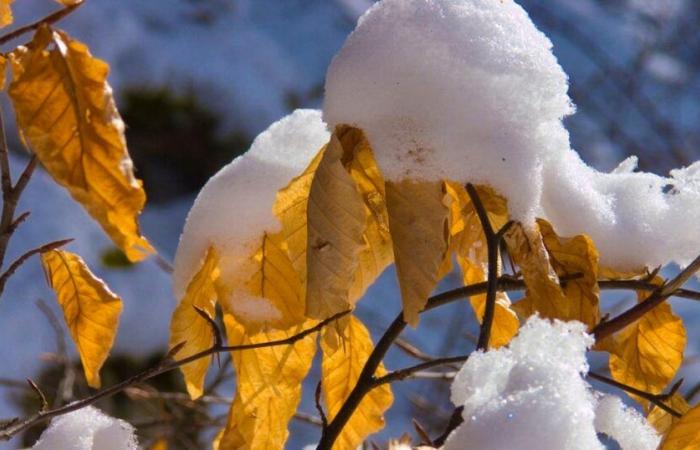 Domenica, “giorno di transizione”: lunedì arriva l’inverno: la neve flirterà con la pianura!