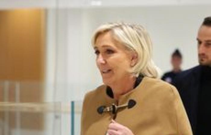 CHECK – Marine Le Pen presa di mira da “un processo politico”? Abbiamo verificato le argomentazioni dell’estrema destra