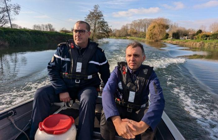 una brigata fluviale per rintracciare i reati nel Marais Poitevin