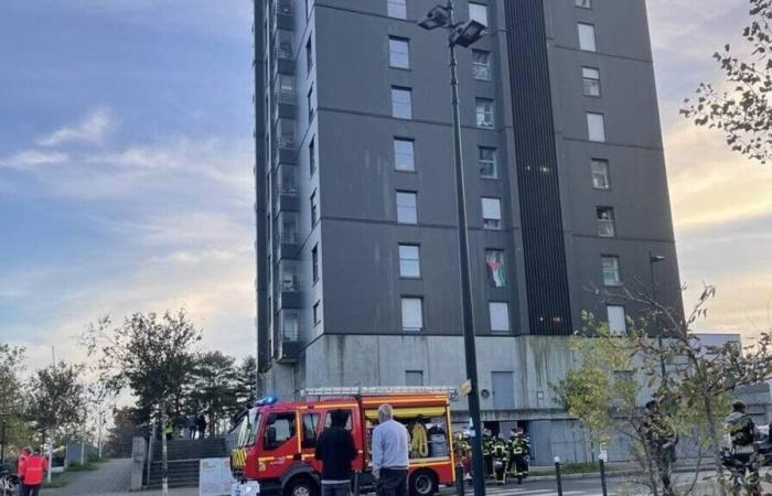 Inizio d’incendio al tredicesimo piano di una torre a Nantes: mobilitati i vigili del fuoco