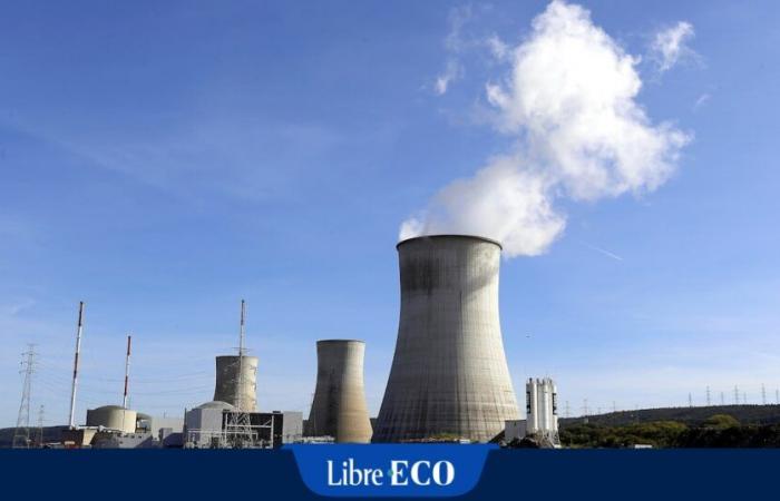 Il MR vuole impedire a Engie di smantellare i suoi reattori nucleari