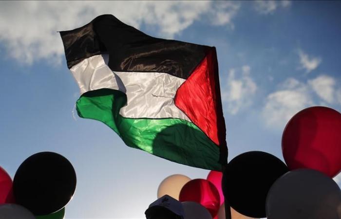 Verso il divieto della bandiera palestinese nelle istituzioni pubbliche