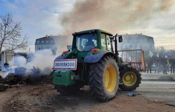 Rabbia degli agricoltori: la FDSEA annuncia un blocco questo lunedì ad Avignone