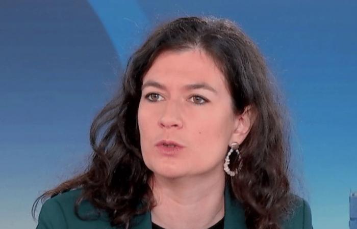 “È scandaloso e indegno che si tenga questa partita”, critica la deputata della LFI-NFP Nathalie Oziol