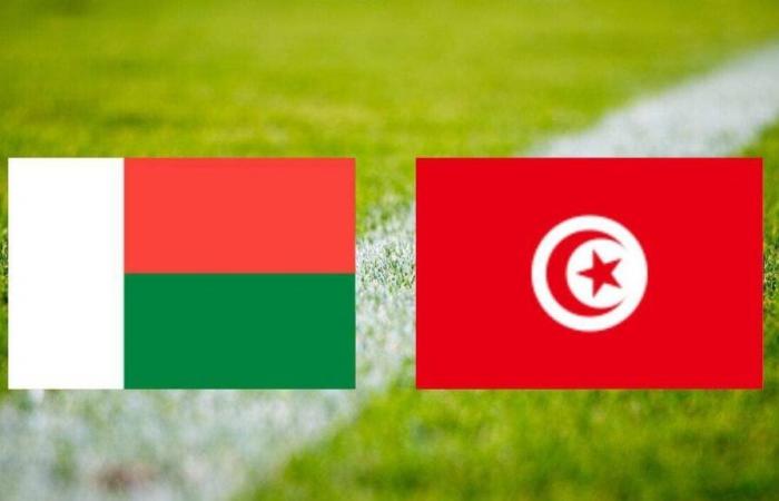 Tunisia: su quale canale e a che ora vedere la partita in diretta?