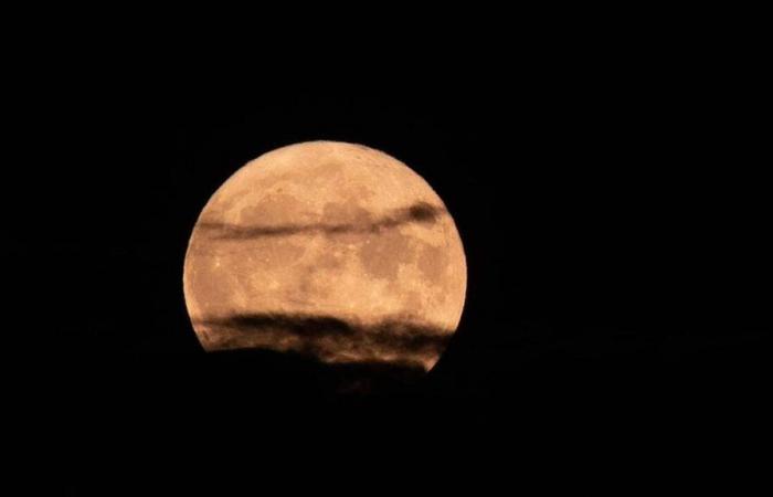 quando e come ammirare l'ultima Super Luna dell'anno?