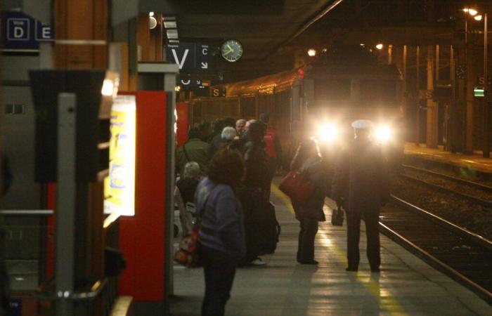 Come la corsa di Levis E., sospettato di essere il “killer dei blocchi di cemento”, è stata fermata da una donna di Tolone a bordo di un treno