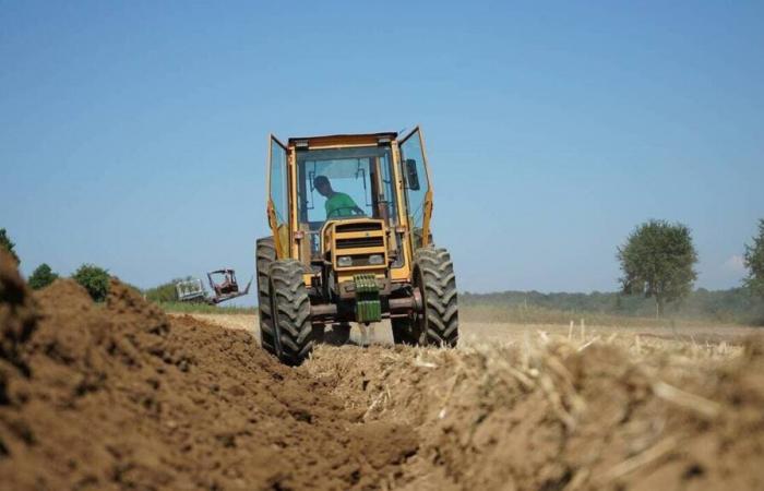 Nell'Alto Reno, questo giovedì i giovani agricoltori esprimono la loro rabbia accendendo dei fuochi