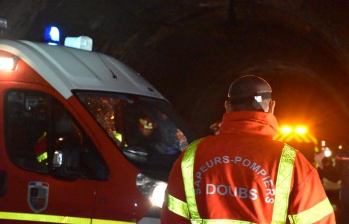 Colpita mentre trasportava le mucche, ferita gravemente una donna a Doubs