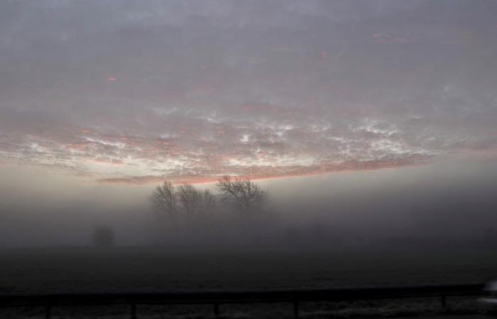 Bollettino meteorologico. Com'è il tempo questo giovedì, 14 novembre in Alta Francia?