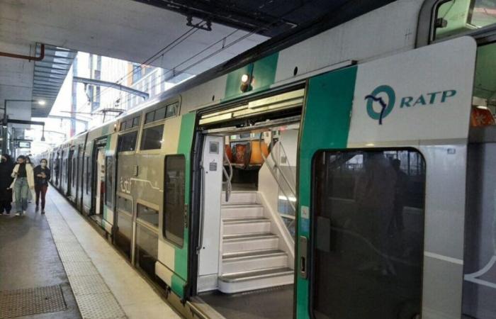 cade sui binari della RER A dopo un alterco con gli agenti della RATP, un uomo ricoverato in ospedale