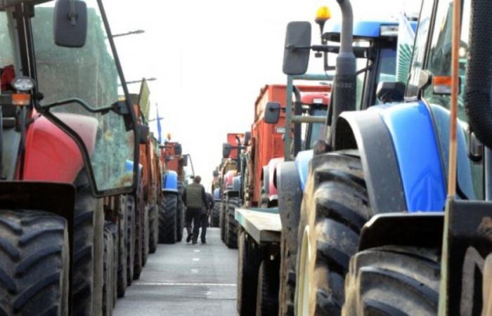 La rabbia degli agricoltori: come il governo sta cercando di allentare le tensioni: notizie