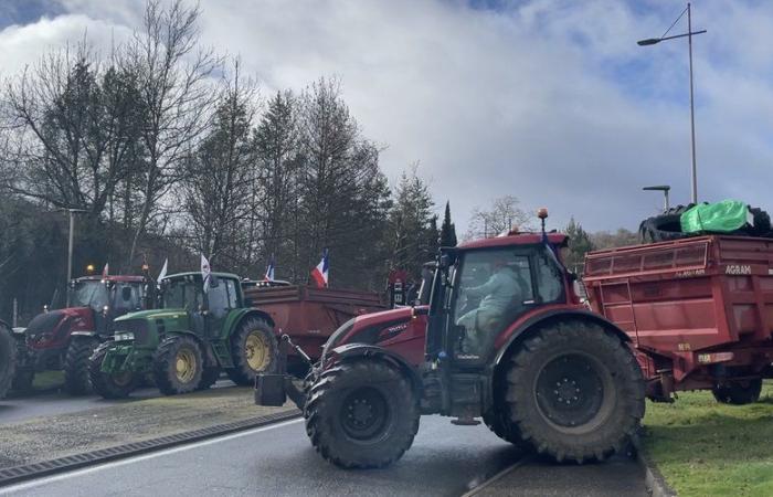 Molti agricoltori si sono mobilitati questo lunedì 18 novembre: cosa vi aspetta