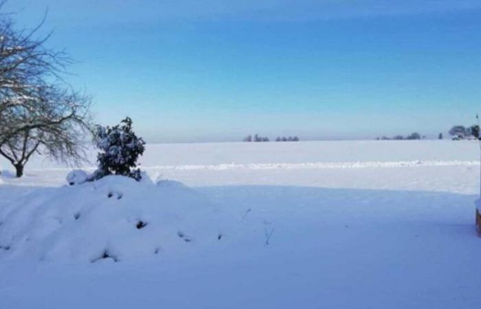 Dove potrebbe nevicare in pianura la prossima settimana?