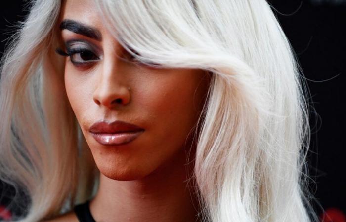 Concerto di Bilal Hassani annullato: cosa rischiano gli imputati accusati di fomentare odio?