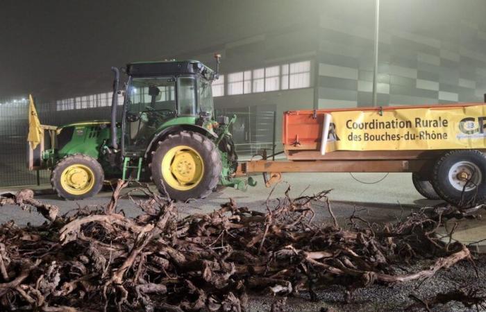 Mobilitazione degli agricoltori delle Bocche del Rodano: la piattaforma LIDL Rousset è stata bloccata giovedì mattina