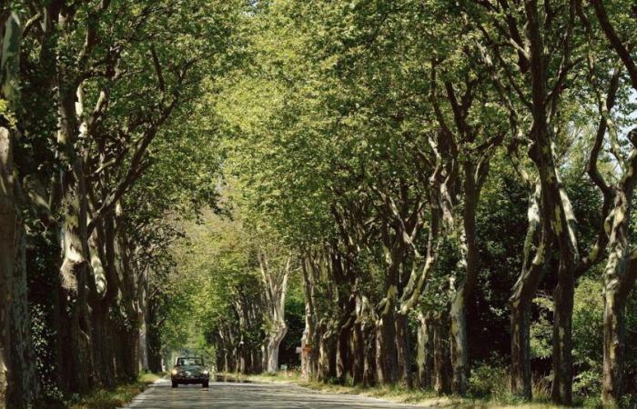 un’evocazione amorevole e gioiosamente nostalgica di una Francia scomparsa