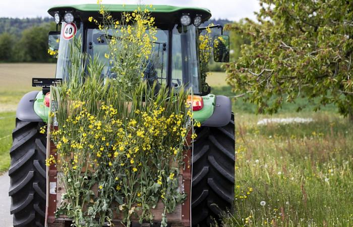 Gli agricoltori svizzeri sono pronti a impegnarsi per una produzione sostenibile