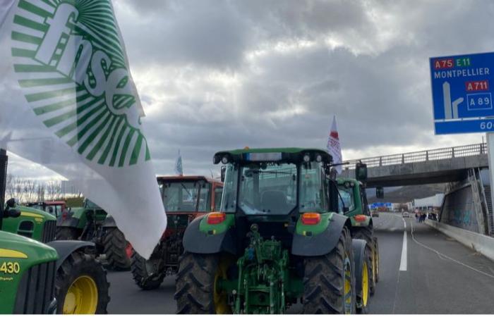 Mobilitazione degli agricoltori: azioni già in corso a Puy-de-Dôme