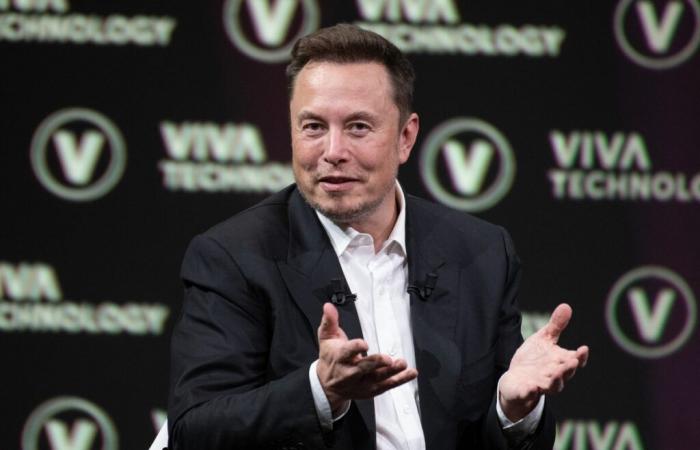 quale posizione occuperà Elon Musk nel governo?