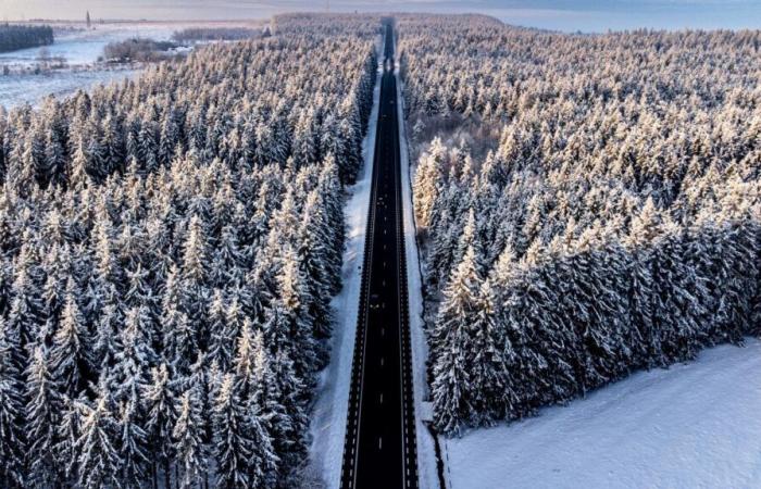 Nei prossimi giorni tornerà la neve in Belgio