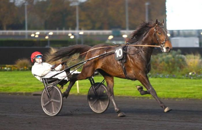 Giovedì 14/11 a Vincennes – Prix Agathe: Il Biglietto Verde è lì