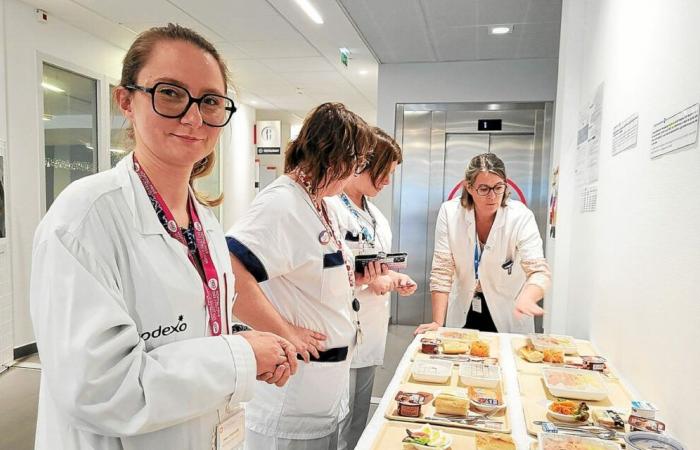 A Plérin, l'ospedale privato della Côtes-d'Armor mette in guardia dalla denutrizione