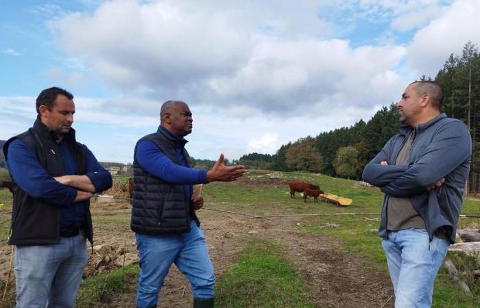 Prezzo di vendita: il prefetto ha incontrato i contadini | Agricoltura Massiccio centrale