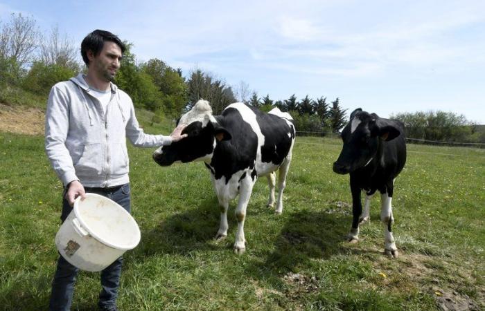 La rabbia degli agricoltori: dopo “30 anni di fermo” vengono costruiti dei bacini idrici nell'Alta Garonna