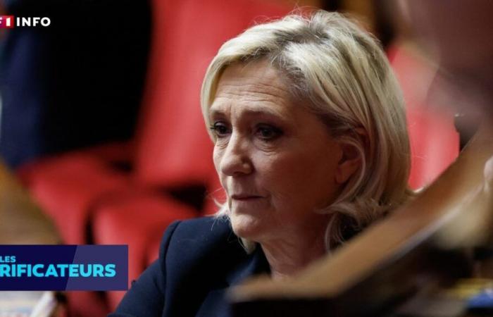 CHECK – Marine Le Pen presa di mira da “un processo politico”? Abbiamo verificato le argomentazioni dell’estrema destra