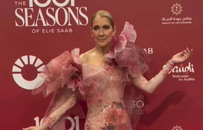 Celine Dion crea una sorpresa e canta alla sfilata dello stilista Elie Saab (video)