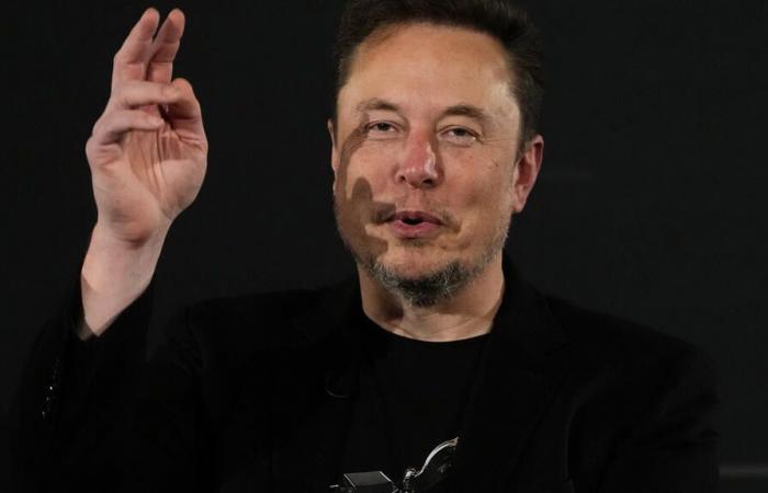 qual è il peso di Elon Musk sull'ambiente?