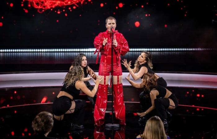 Questi otto candidati si contendono un posto all’Eurovision Song Contest: da sorella di Metejoor a nipote di Louis Neefs