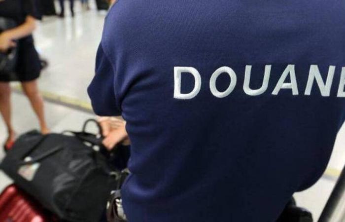 Riunione. Sequestro straordinario di cocaina e cannabis all'aeroporto Roland-Garros