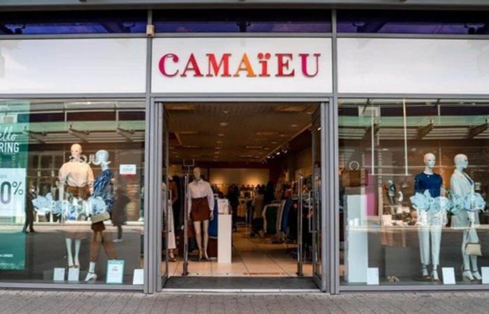 Camaïeu sferra un duro colpo per l'inverno con il suo piumino antifreddo senza maniche – Tuxboard