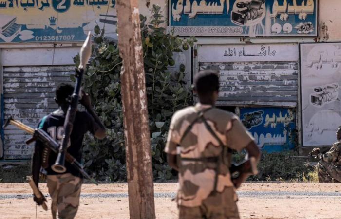 Equipaggiamento militare francese avvistato in Sudan, “in violazione” dell'embargo sulle armi, denuncia Amnesty International