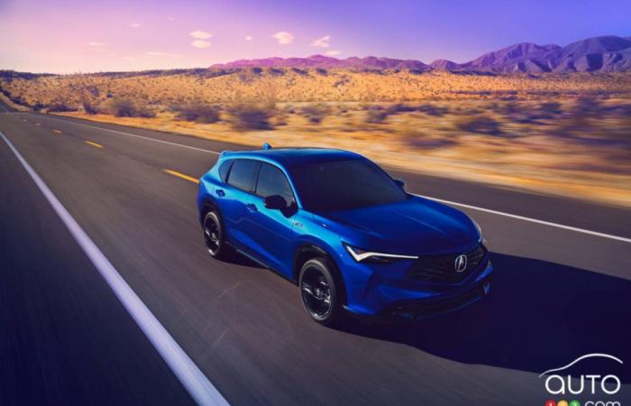 Viene rivelata l’Acura ADX del 2025 | Novità automobilistiche