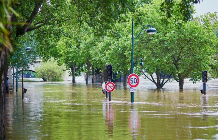 Una risposta naturale (e radicale) al cambiamento climatico e alle inondazioni nel Regno Unito